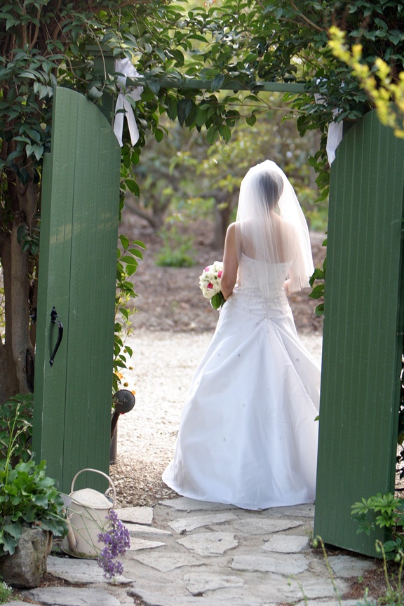 Considerations for Choosing Your Wedding Day Affordable Preservation